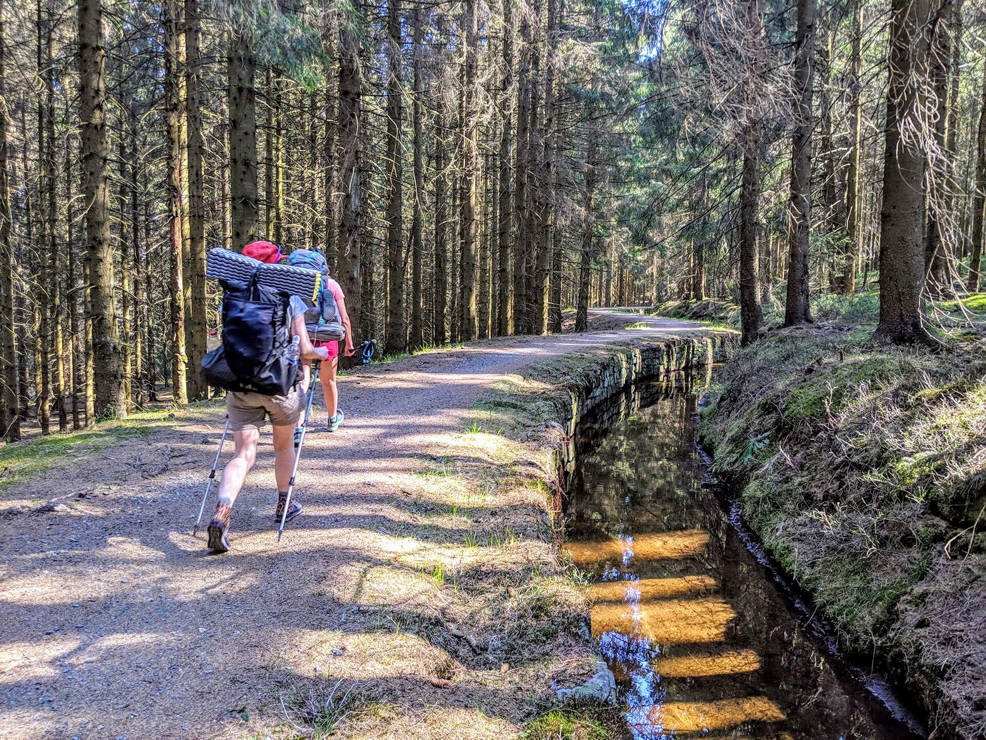 Wanderer mit kleinen und leichten Rucksäcken auf dem Harzer-Hexen-Stieg